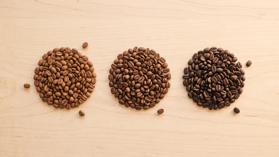 Drei Häufchen Kaffeebohnen in hellem, mittlerem und dunklem Röstgrad nebeneinander auf hellem Ahornholz