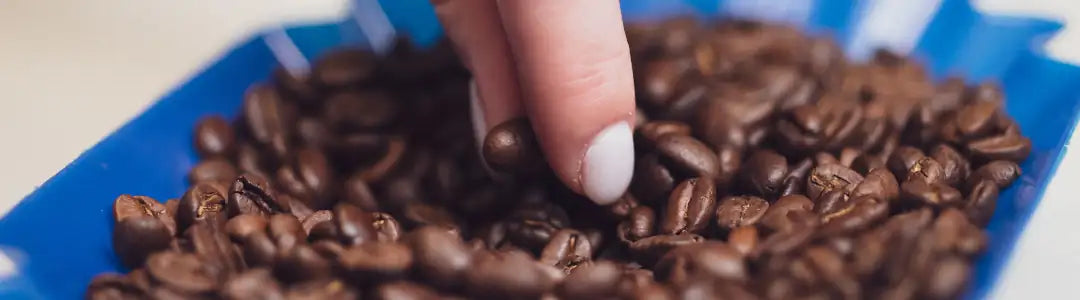 Specialty Coffee – Der beste Kaffee der Welt