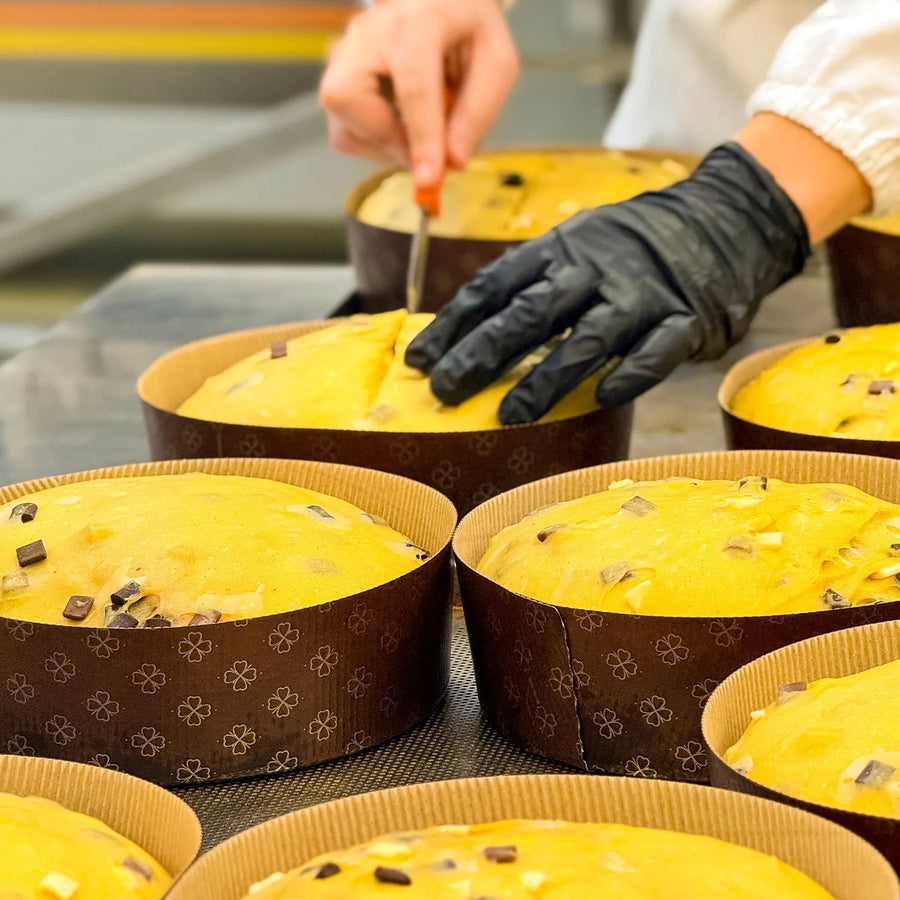 Panettone in reinster Handarbeit