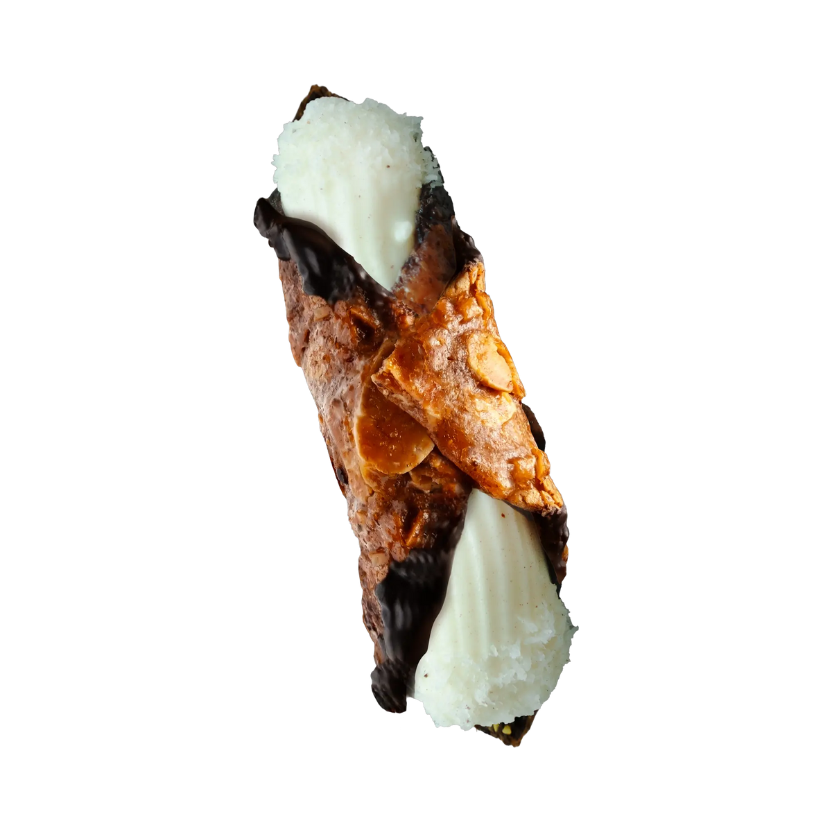 Cannulicchi Coco