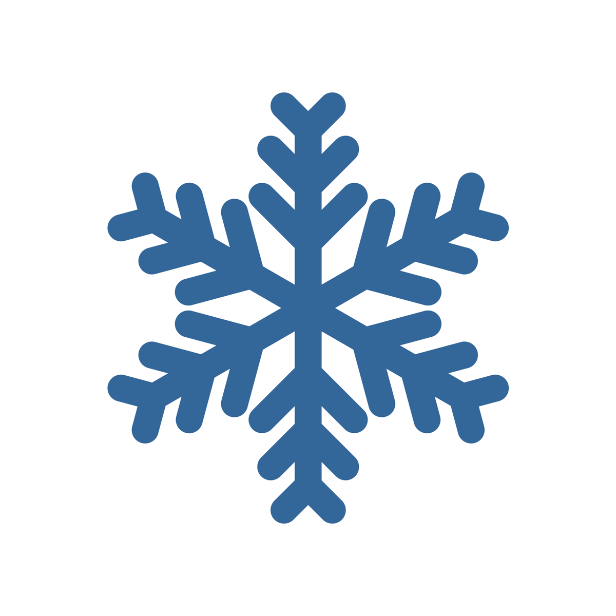 Gekühlter Versand – Schneeflocke Symbol